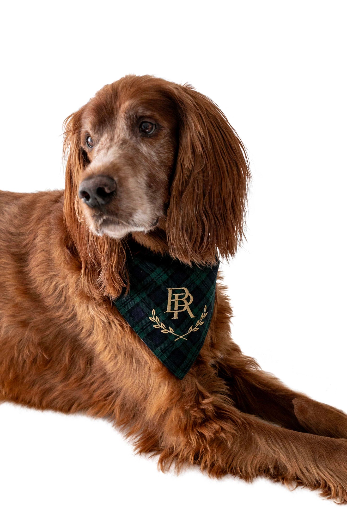 CrewLala BR Bandana