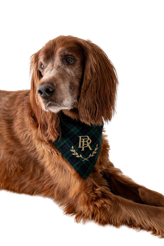 CrewLala BR Bandana